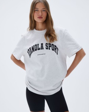 Adanola Adanola Sport Short Sleeve Oversized T-shirt Grå | 70431-EYWC