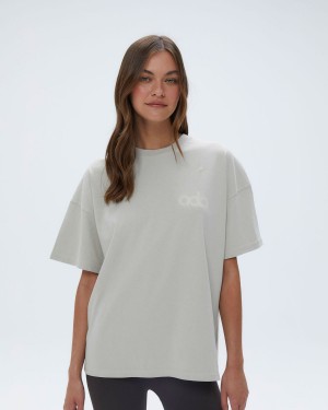 Adanola Performance Washed Short Sleeve Drop Shoulder T-shirt Grå | 09273-FLUJ