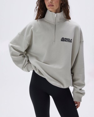 Adanola Retro Sports Oversized Funnel Neck Zip Sweatshirt Grå | 67803-CNYG